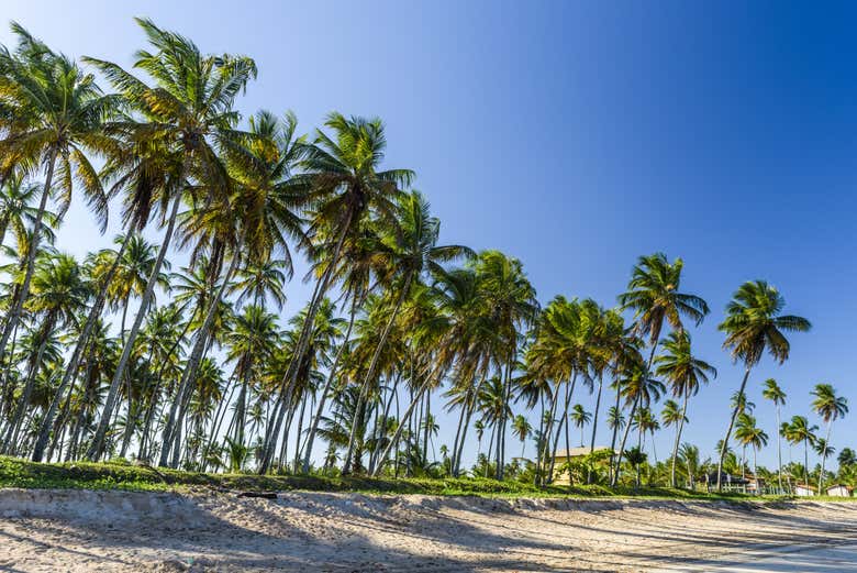 Spiaggia di Garapuá
