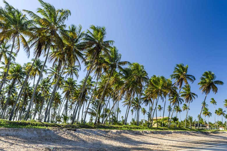 Garapua beach