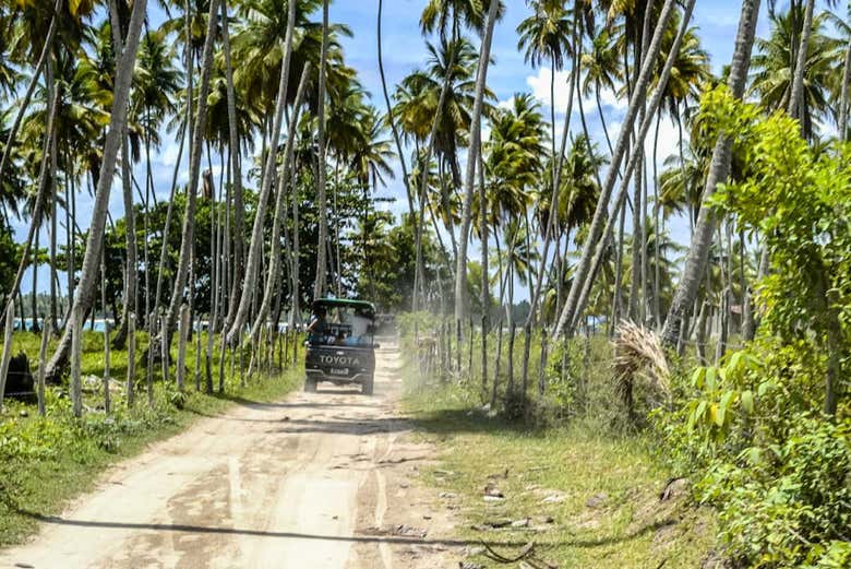 Excursão à praia de Garapuá