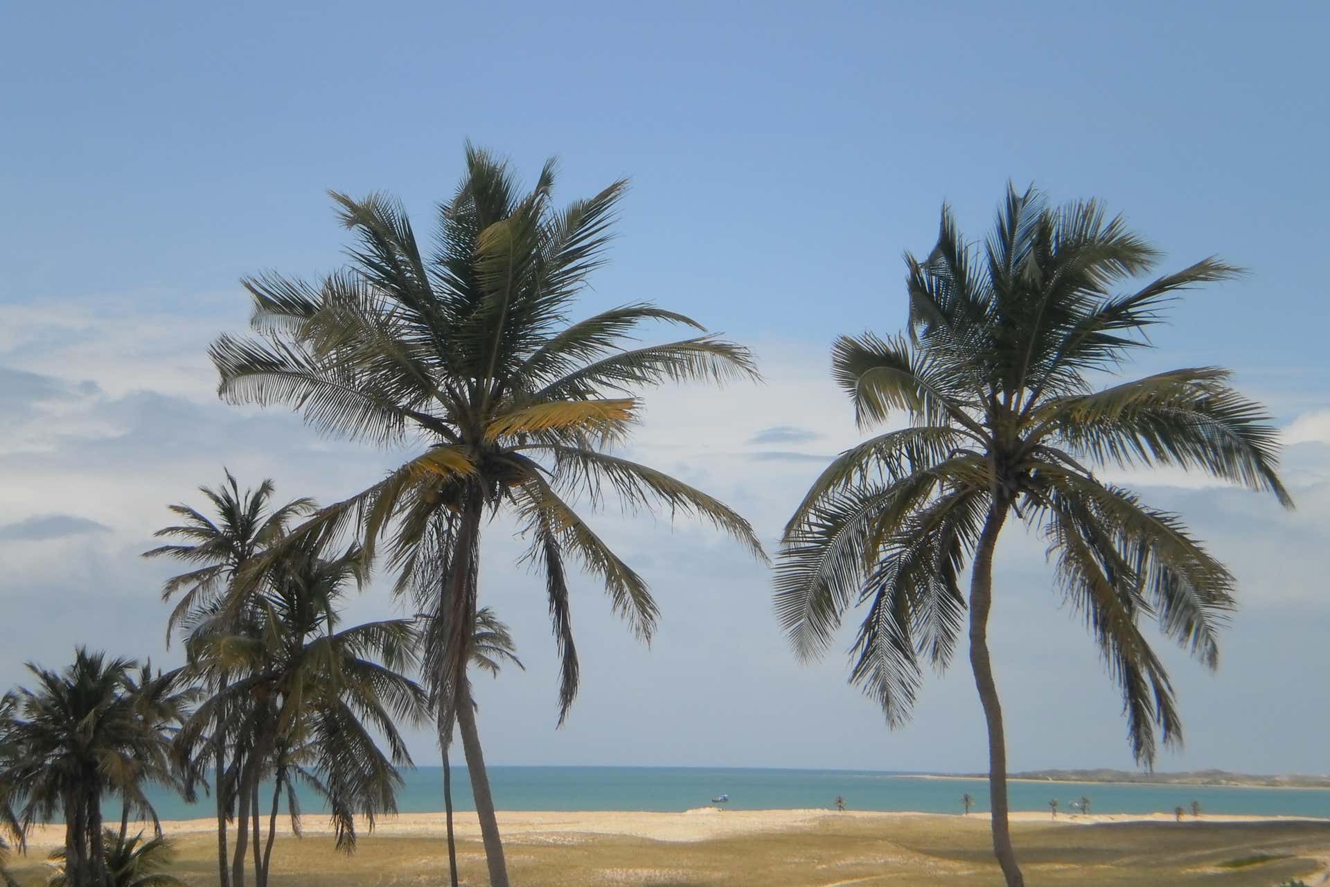 Escursione a Barra de Punaú