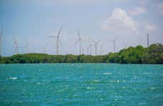 Galinhos Day Trip & Boat Cruise
