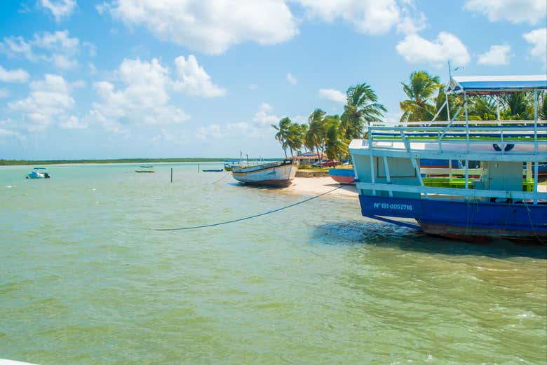Boat for the tour