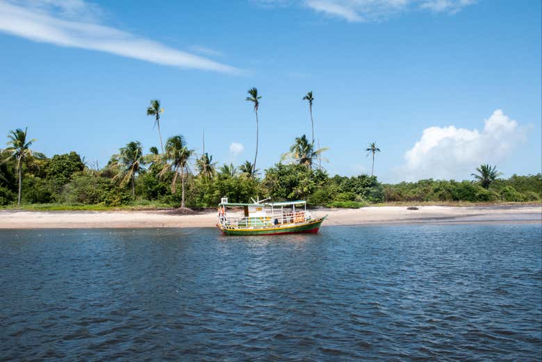 See where the river joins the sea