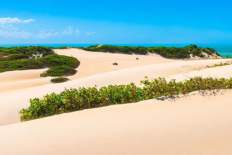 Dunas de Genipabu