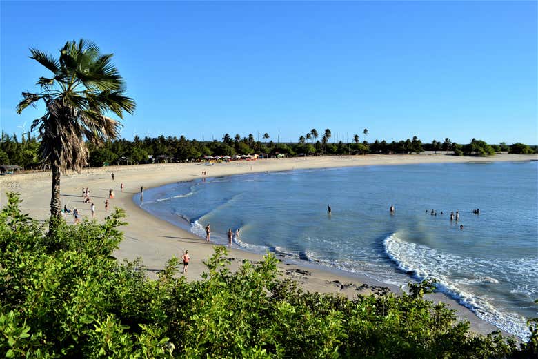 Landscapes of paradise in Brazil