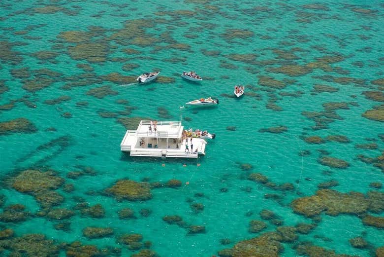 Excursão a Maracajaú com snorkel saindo de Natal Excursão a Maracajaú com snorkel saindo de Natal