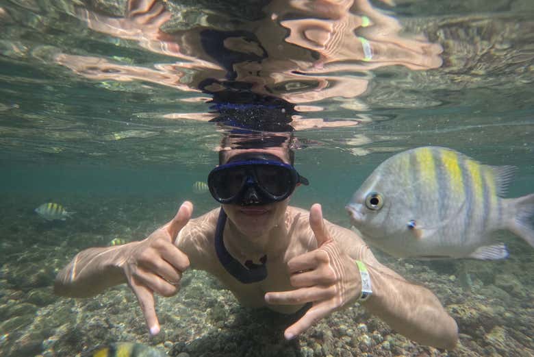 Snorkelling time
