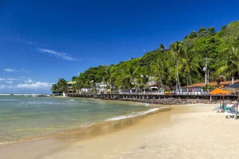 Paradise beaches in Brazil