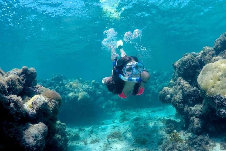 Snorkel em Maracajaú