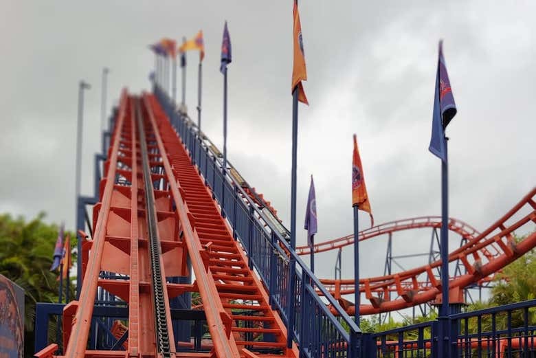 Ready for some fun?