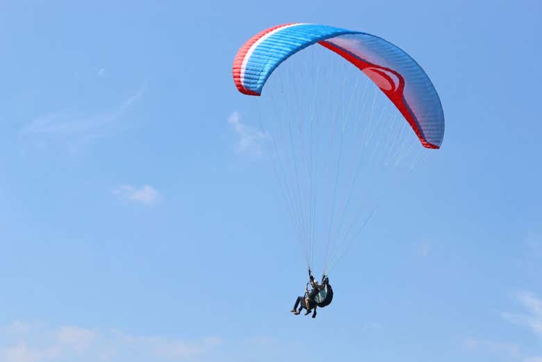 Soar through the skies!