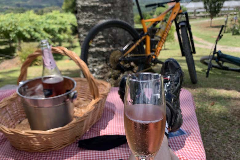 Recarregando as energias com um piquenique