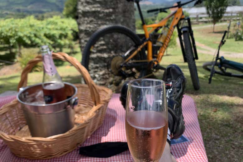 Recargando las pilas con un pícnic en Casa Sander