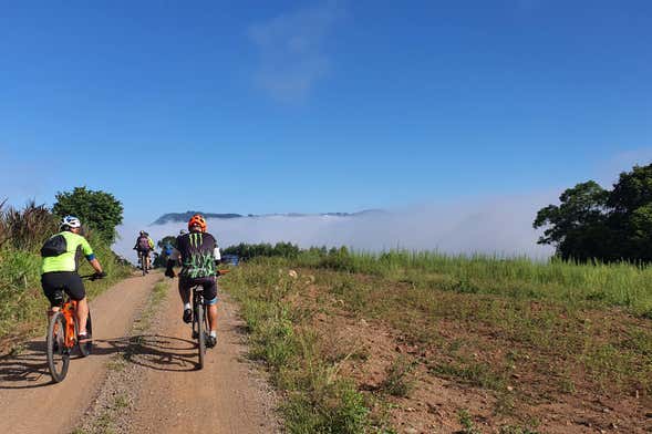 Linha Brasil Bike Tour