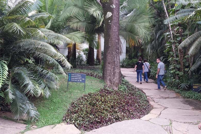 Desfrutando da natureza no Instituto Inhotim