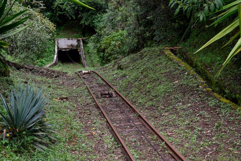 Discover an ancient gold mine