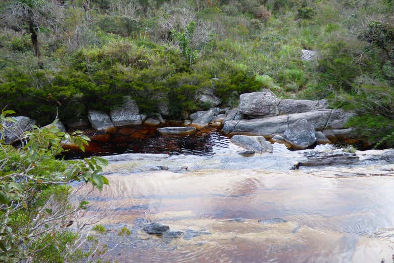 The nature surrounding the Sanctuary