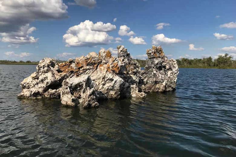 Lagoa da Confusão