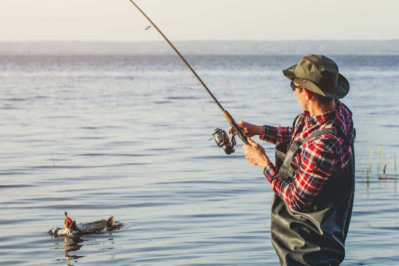 Pescando