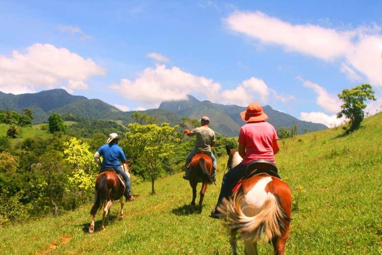 Explore the lush green landscapes