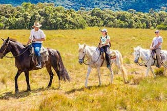 A Serra da Bocaina tem diversos tipos de paisagem