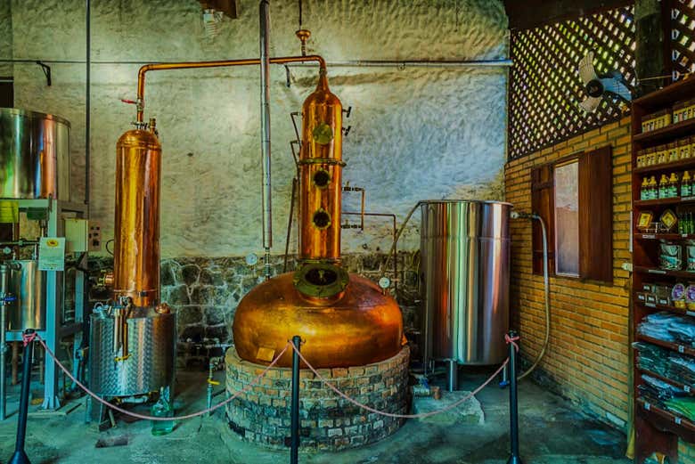 Visitaremos una destilería de cachaza