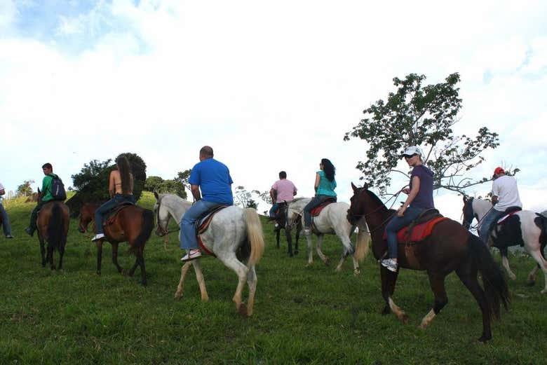 Take a relaxing ride through the Brazilian countryside