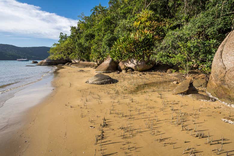 Praia em Saco do Mamanguá