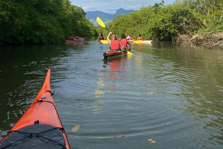 Recorriendo en kayak la zona de los manglares