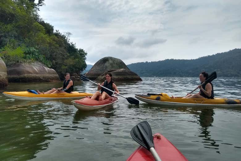 Exploring the mangroves of the Brazilian coastline