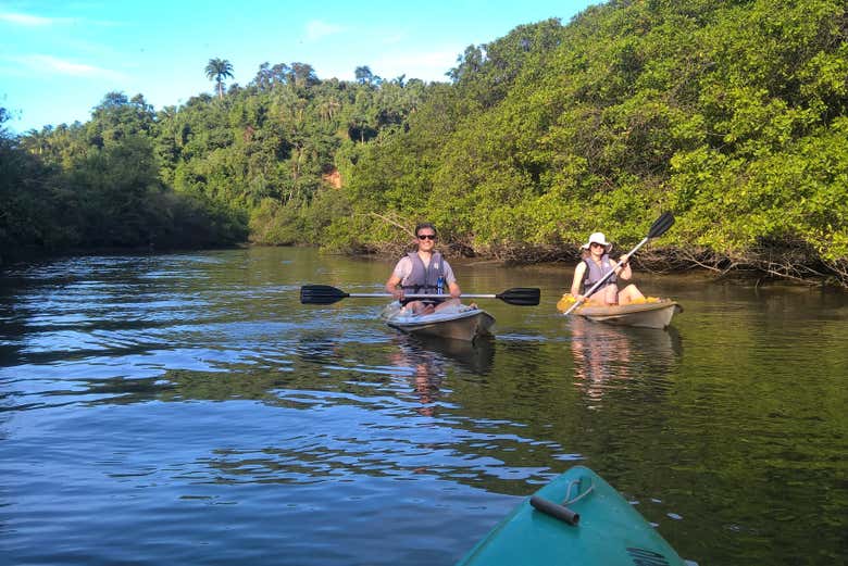 Remando por el bosque de manglares durante el tour en kayak