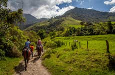 Horseback Ride in the Serra da Bocaina