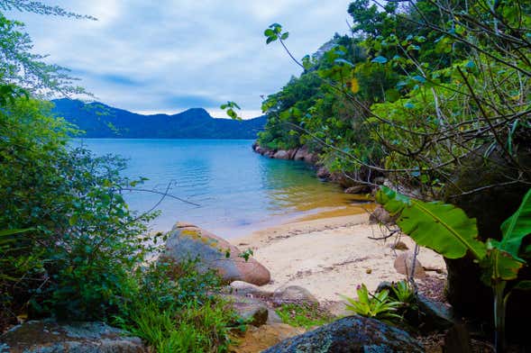 Paraty Beaches & Mangroves Kayaking Tour