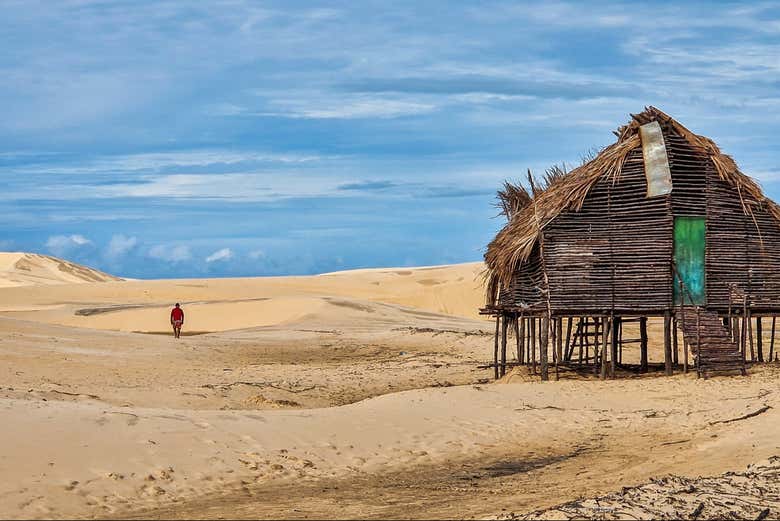 Una de las islas del delta del Parnaíba