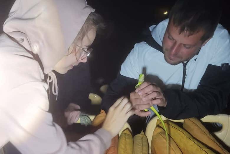 Conociendo a los animales nocturnos del delta del Parnaíba