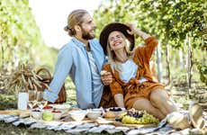 Excursion aux vignobles et au domaine viticole d'Assunção