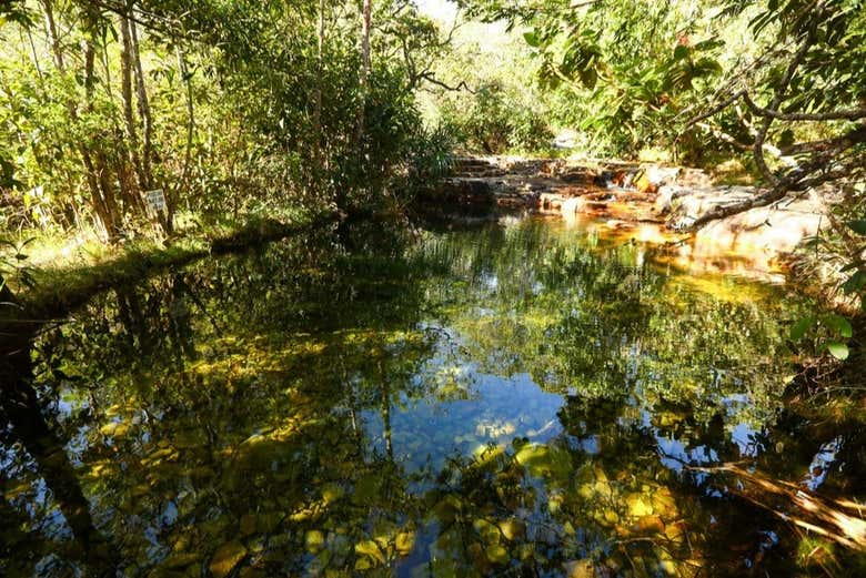 Discover the beautiful environment!