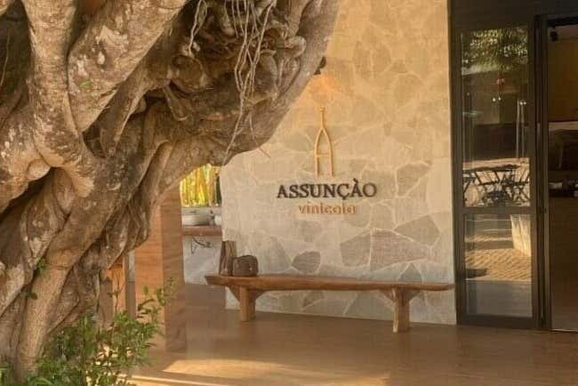 Entrada de la bodega Vinícola Assunção