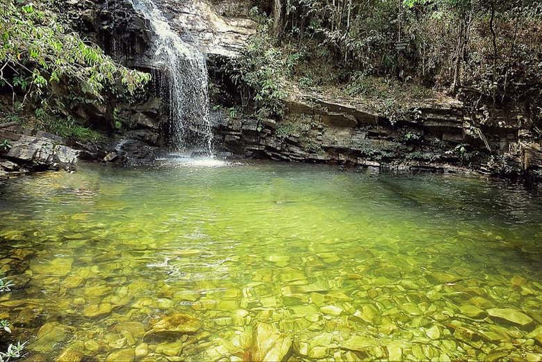 Swim in serene waters