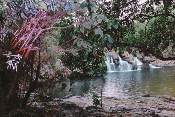 Vegetación rodeando la piscina natural