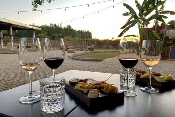 Podéis acompañar el pícnic con unas copas de vino