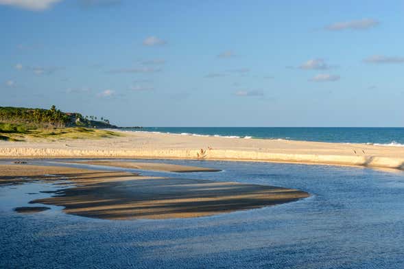 Passeio de catamarã pela praia de Pitimbu