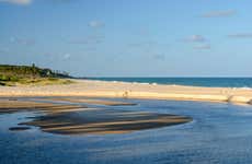 Passeio de catamarã pela praia de Pitimbu