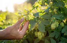 Porto Alegre Beer Tour