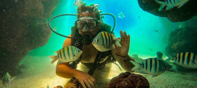 Mergulho em Porto de Galinhas
