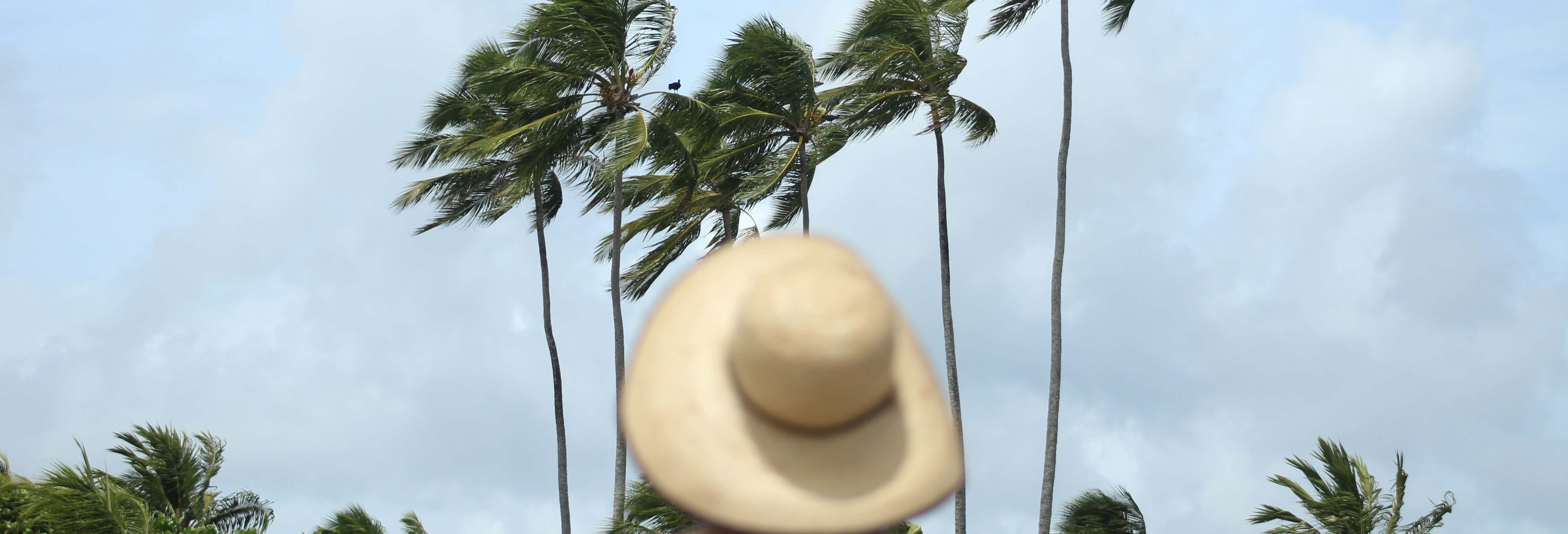 Excursões de um dia em Porto de Galinhas
