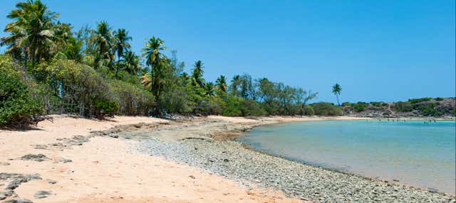 Escursione alla spiaggia di Guadalupe
