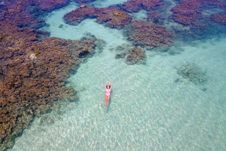Swimming between the coral reefs