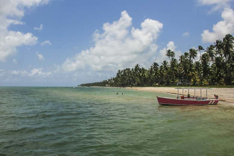 La playa de los Carneiros es un paraíso natural de Brasil