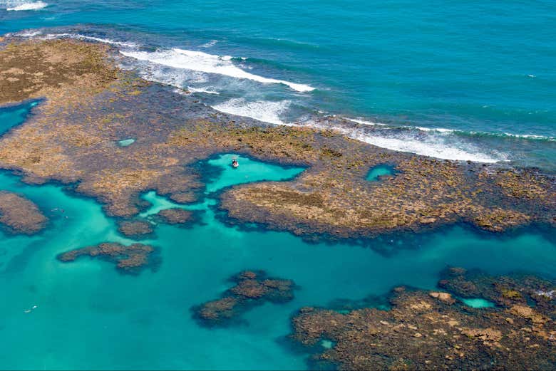 Travel to Porto de Galinhas